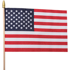 Usa Flags/8X12-Cloth