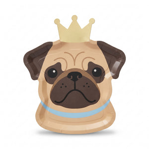 Kids Animal Theme Party Supplies