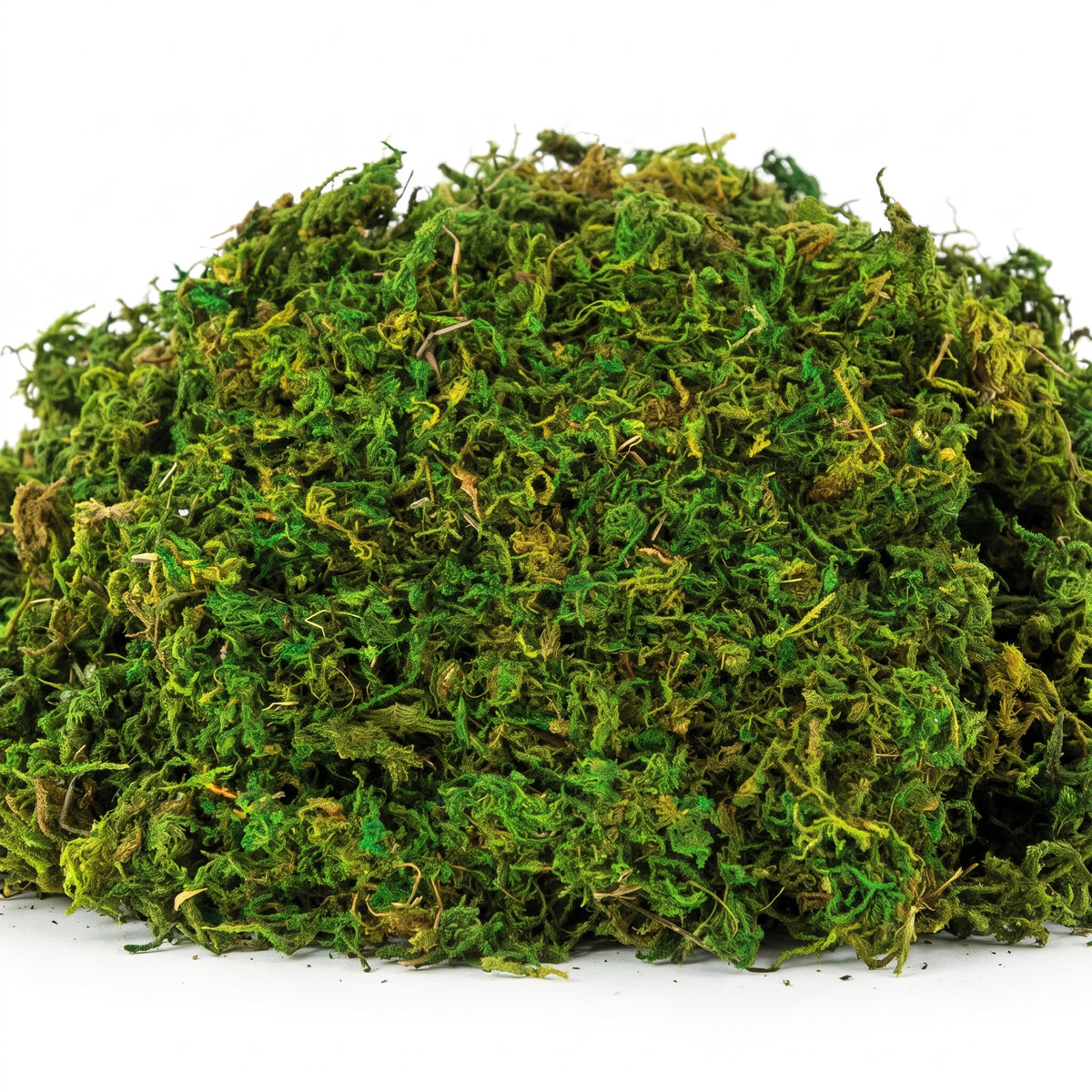 Natural Moss Decor - 4.2 oz