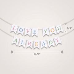 Mini Baby Pennant Banner - "Love You Already"