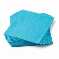 Caribbean Blue Tissue Paper Value Pack - 20 Sheets
