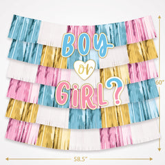 "Boy or Girl?" Deluxe Fringe Backdrop Kit for Gender Reveal