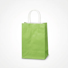 Small Kiwi Kraft Gift Bag