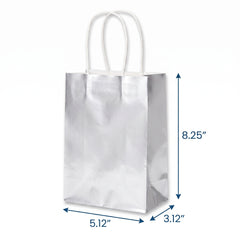 Silver Kraft Gift Bag | 10 Pack
