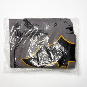 DC Comics™ Costumes for Kids & Adults