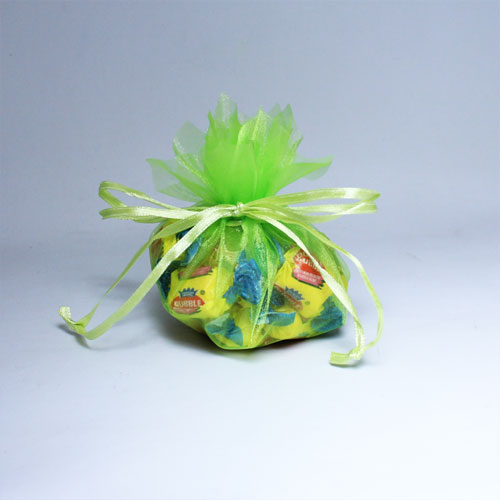 Lime Green Flower Edge Mini Organza Pouch (12)